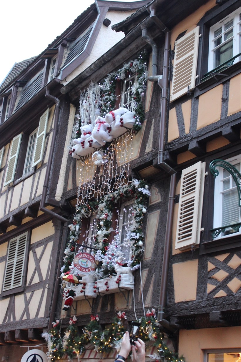 Christmas Market Cruise