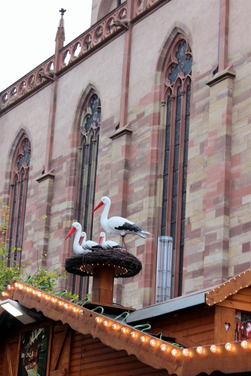 Christmas Market Cruise