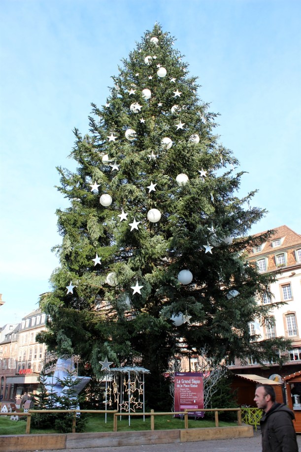 Christmas Market Cruise