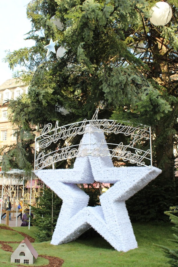 Christmas Market Cruise