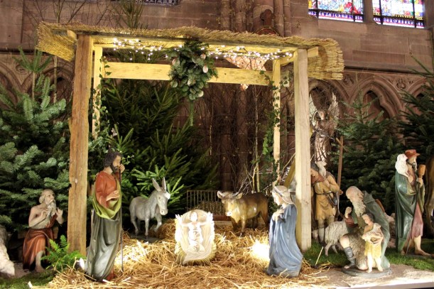 Christmas Market Cruise