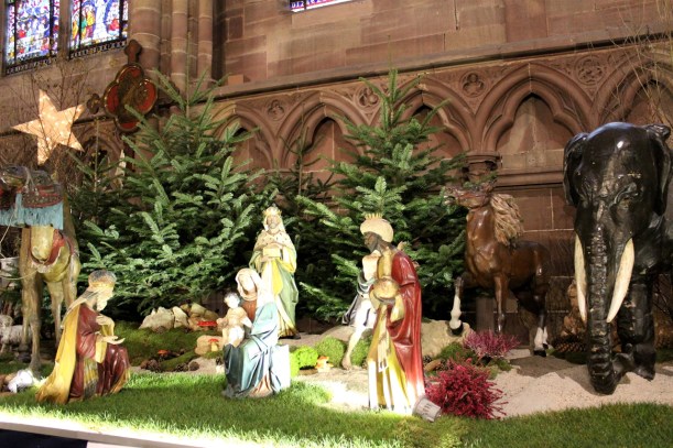 Christmas Market Cruise