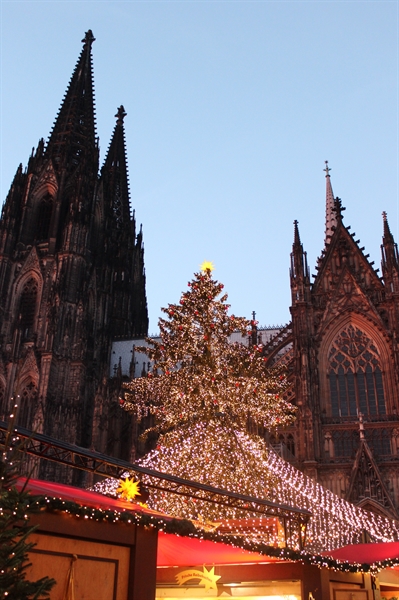 Christmas Market Cruise